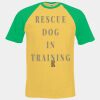 Short sleeve baseball tee Thumbnail